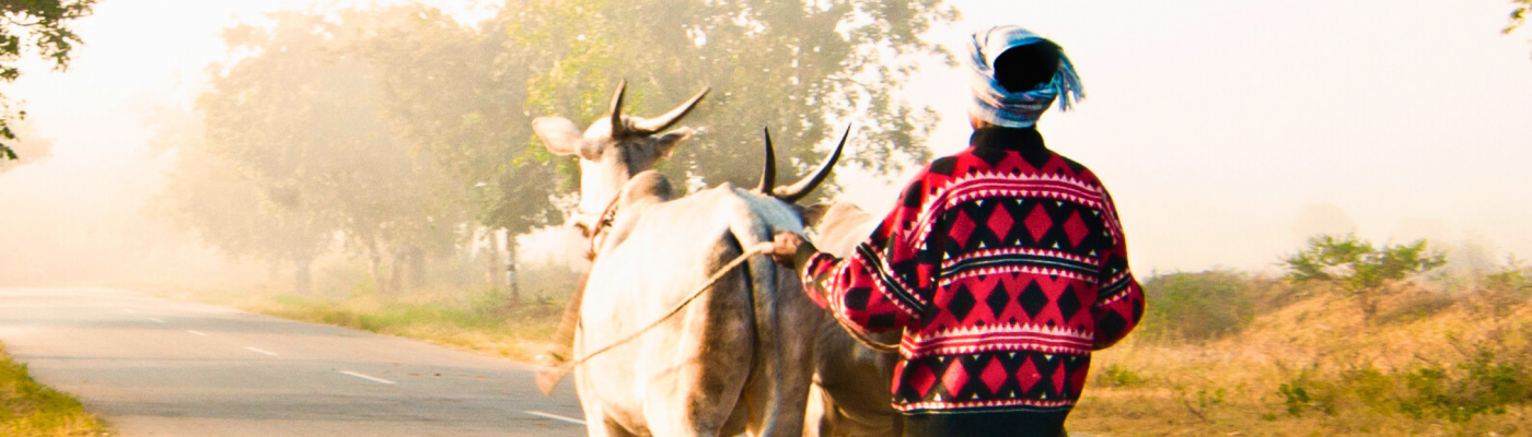 How Indian Villages Hold the Secret to Zero-Waste Living