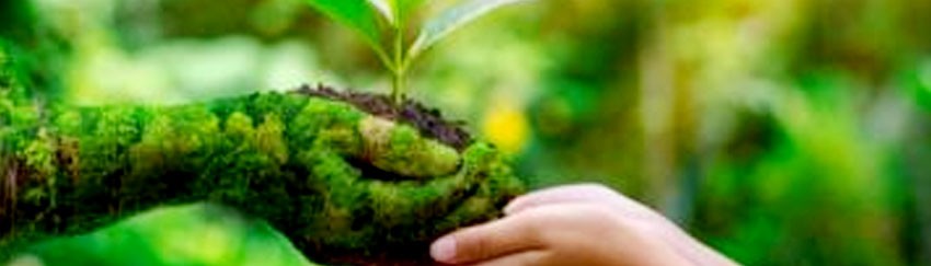 🌱 पारिस्थितिकीय (Eco-Friendly) उत्पाद: अपने स्वास्थ्य, पर्यावरण और देश की प्रगति के लिए सही विकल्प