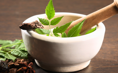 The Ayurvedic Way: Living in Sync with Nature’s Rhythms