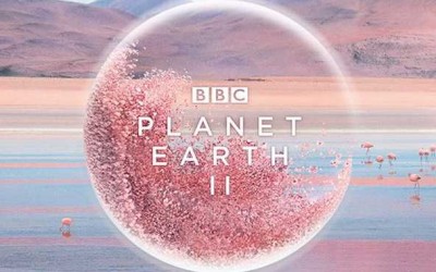 Conscious Consumption: Why What You Buy is a Vote for the Planet