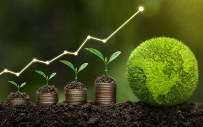 Best Out of Waste: Inspiring Health, Wellness & India’s Economic Growth 