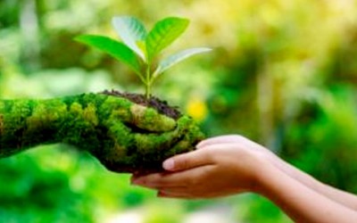 🌱 पारिस्थितिकीय (Eco-Friendly) उत्पाद: अपने स्वास्थ्य, पर्यावरण और देश की प्रगति के लिए सही विकल्प