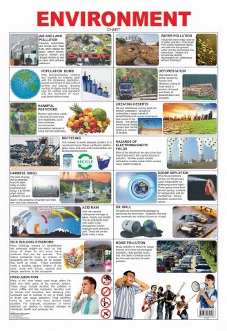 Environment : Children Reference Laminated Educational Chart By Dreamland Publications
