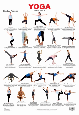 Yoga Chart - 1 : Children Reference Laminated Educational Chart By Dreamland Publications