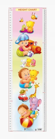 Height Chart - 5 : Children Reference Laminated Educational Chart By Dreamland Publications