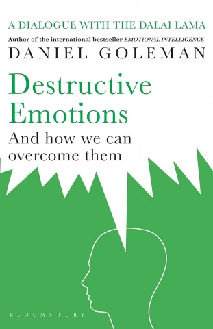 DESTRUCTIVE EMOTIONS