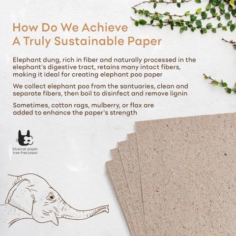 Bluecat Paper Elephant Poo Paper