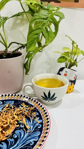 HIMSHAKTI Cordyceps Militaris (Keeda jadi)