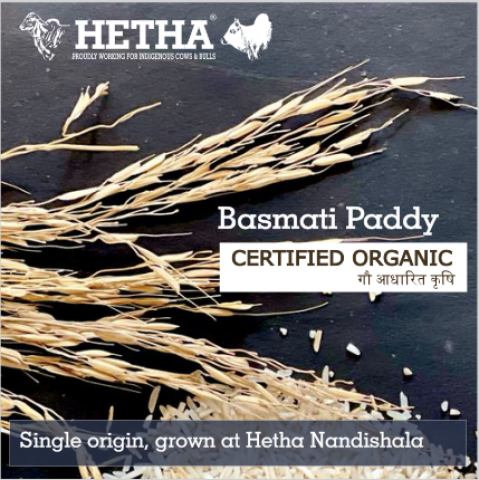 Basmati Paddy - Certified Organic