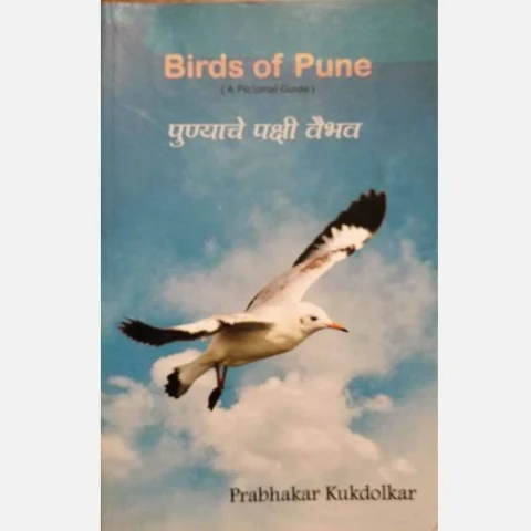 Birds of Pune