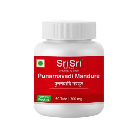 Punarnavadi Mandura, 60 Tabs | 300mg