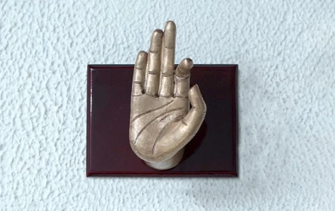 Arala | Dance Hasta Mudra