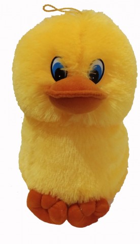 Musical Duck Toy