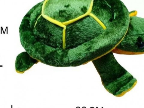 Tortoise Soft Toy