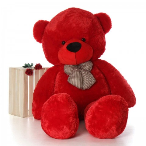 3F TEDDY WITH TIE