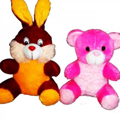 Sweet Soft Teddy Bear