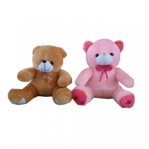 Brown and Pink Teddy Bear