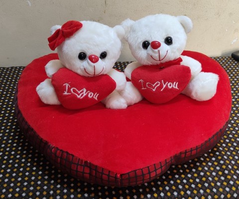 Teddy bear with Heart combos