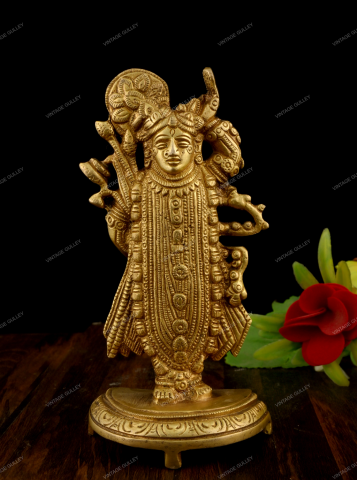 Brass Shrinath ji Idol