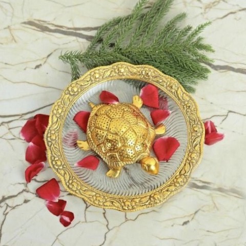 Metal Plate Tortoise