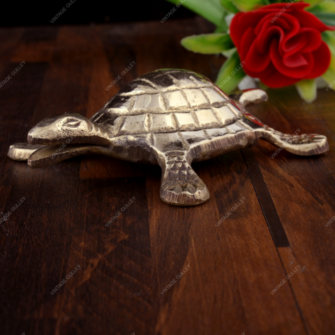 Tortoise | Vastu | Career