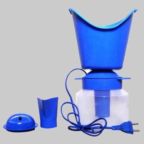 Electrical Steam Vaporizer