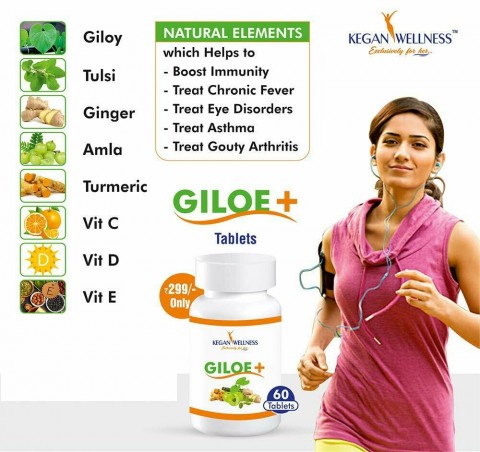 Giloe+ Supplement - 60 Tablets