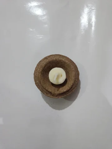 D Viswa 20 PC Desi Cowdung Deepak Plain / Vilakku / Diya for Diwali Pooja , Deepawali Puja, Navratri, Yajna / Diya for Puja