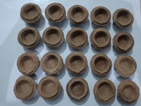 D Viswa 50 PC Desi Cowdung Deepak Plain / Vilakku / Diya for Diwali Pooja , Deepawali Puja, Navratri, Yajna / Diya for Puja